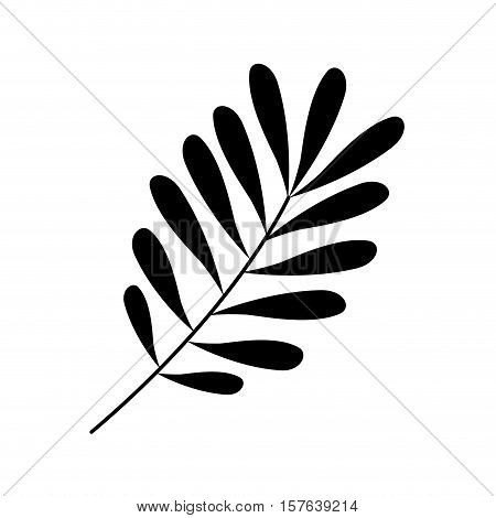 Black leaf Silhouette with ramifications vector illustration