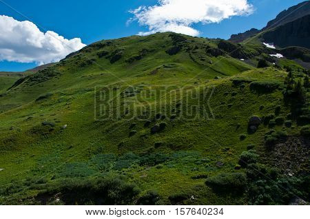 Green Summer landscape in the Rocky Mountains Alpine Tundra rolling hills of green near Telluride Colorado USA
