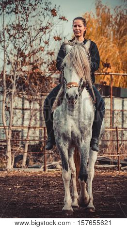 Young beautiful brunette girl rides a horse bareback with hackamore. Warm and sunny autumn day. Portrait of a pretty young woman on the horse, wearing tall boots and gloves.
