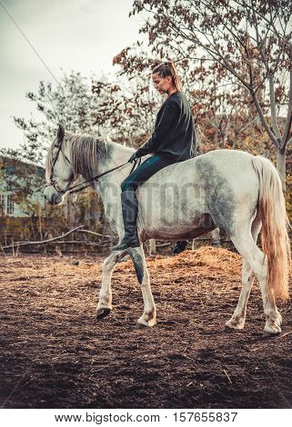 Young beautiful brunette girl rides a horse bareback with hackamore. Warm and sunny autumn day. Portrait of a pretty young woman on the horse, wearing tall boots and gloves.