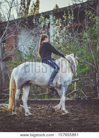 Young beautiful brunette girl rides a horse bareback with hackamore. Warm and sunny autumn day. Portrait of a pretty young woman on the horse, wearing tall boots and gloves.