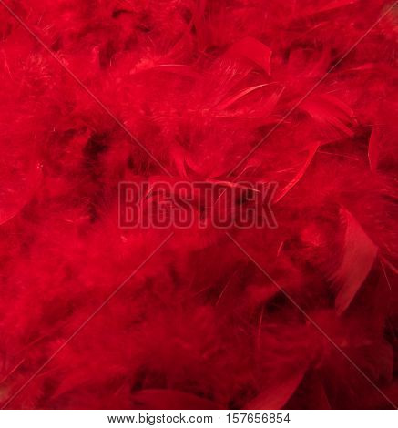 A background of fluffy red boa feathers