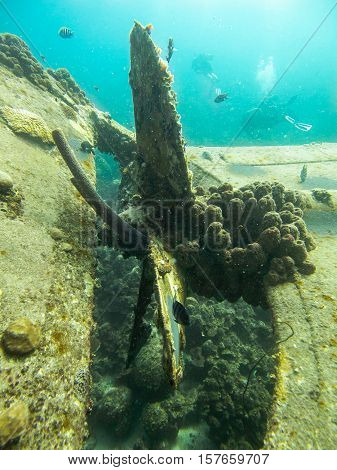 The Hilma Hooker Shipwreck in Bonaire, Caribbean