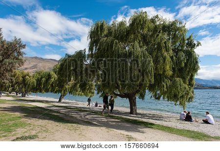 WANAKA, NEW ZEALAND - MARCH 27: The park in Wanaka, New Zealand filled with people and big green trees on March 27, 2016