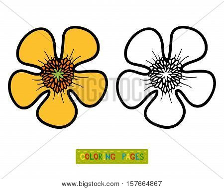 Coloring book for children, coloring page with flower Buttercup