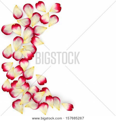 Red Rose Petals Scattered On The Floor In A Semi-circle. Under The Petals Of The Shade. 3D Illustrat