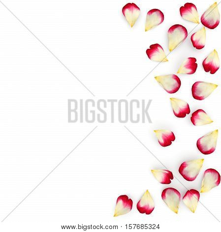 Red Rose Petals Scattered On The Floor In A Semi-circle. Under The Petals Of The Shade. 3D Illustrat