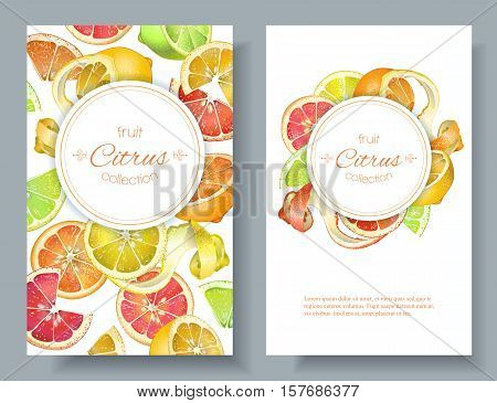 Vector citrus vertical banners. Design for juice, tea, ice cream, lemonade, jam, natural cosmetics, sweets and pastries filled with citrus, dessert menu, health care products. With place for text