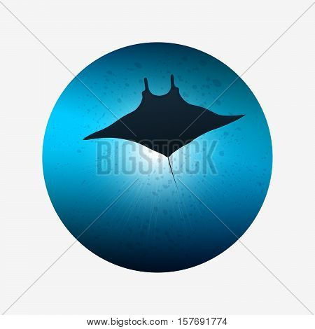 Underwater life. Big manta ray in ocean water.