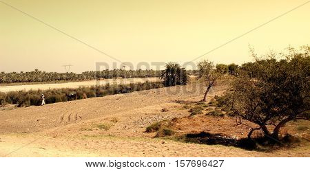 A rural landscape from Khairpur, Sindh, Pakistan. Picture contains various trees including date palms in distance, a farmer and a buffalo.