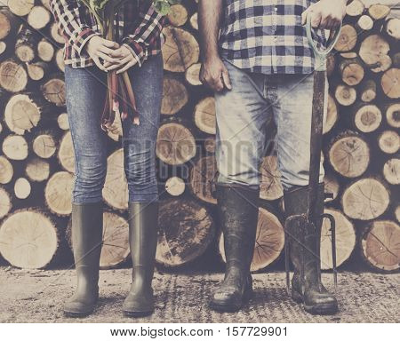 Firewood Fuelwood Lumber Timber Lumber Log Concept
