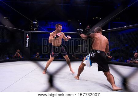 NOVI SAD SERBIA - NOVEMBER 05 2016 : MMA - SBC FIGHT TURNAMENT. ATHLETES IN THE RING EXTREME SPORT. FIGHT NIGHT PROFESIONAL ATHLETES NOVEMBER 05 2016 NOVI SAD SERBIA
