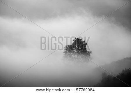 Misty landscape view and sea of clouds at Phuhuayesan in Nong khai province, Thailand.