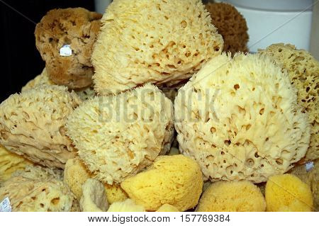 Natural sponges for sale in the old town Rethymno Crete Greece Europe.