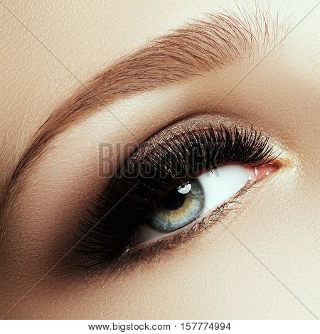 Beautiful Macro Shot Of Female Eye With Extreme Long Eyelashes