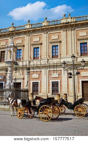 Seville Archivo Indias horse carriage in Sevilla Andalusia Spain