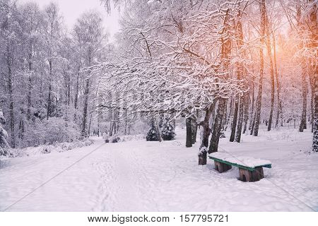 Park bench and trees covered by heavy snow. Lots of snow. Sunset