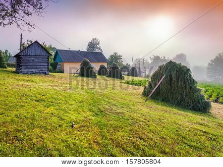 Haymaking In A Carpathian Village. Ukraine, Europe