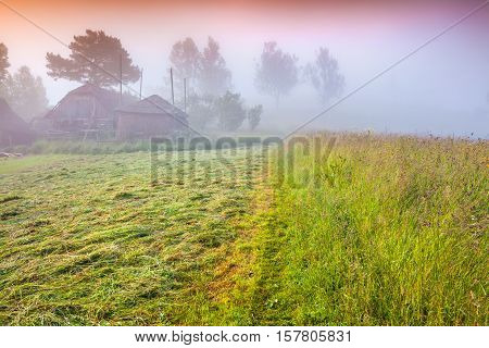 Haymaking In A Carpathian Village.