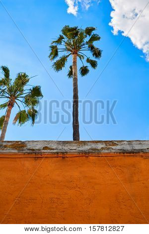 Seville Juderia barrio in Andalusia Sevilla of Spain