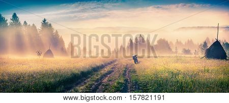 Haymaking In A Carpathian Village.
