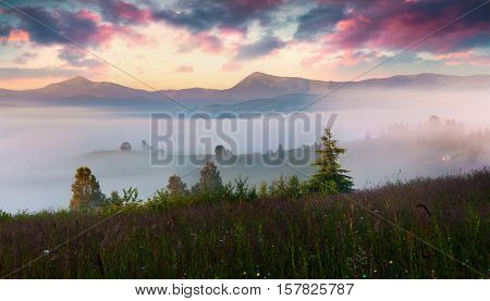 Colorful Summer Scene In The Foggy Mountain Village