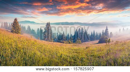Colorful Morning Scene In The Mountains