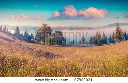 Colorful Morning Scene In The Mountains
