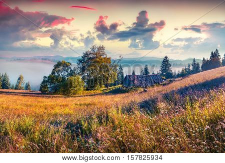Colorful Morning Scene In The Mountains