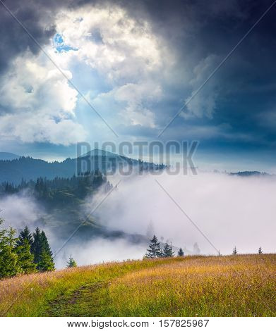 Dramatic Summer Scene In The Foggy Mountains