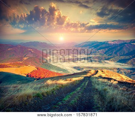 Colorful Autumn Morning In The Mountains