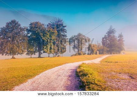 Foggy Summer Morning In The Stara Fuzina Village Park