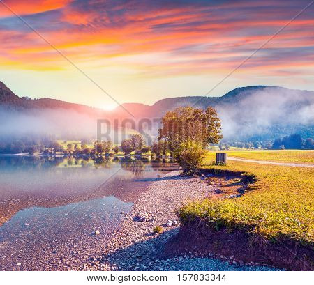 Foggy Summer Morning In The Stara Fuzina Village Park