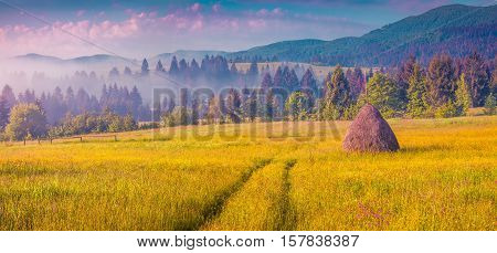 Haymaking In A Carpathian Village
