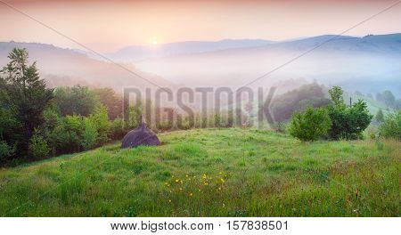 Haymaking In A Carpathian Village.