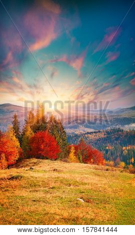 Colorful Sunrise Sunset In The Foggy Mountains.
