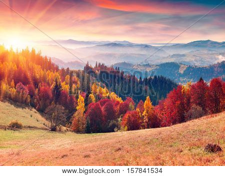 Colorful Autumn Sunrise In The Carpathian Mountains.