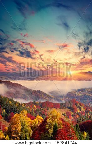 Colorful Autumn Sunset In The Foggy Mountains.