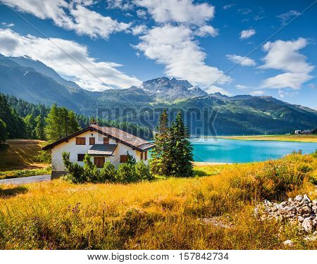Colorful Summer Morning On The Silvaplana Village.
