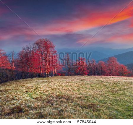 Colorful Autumn Sunset In The Carpathian Mountains.