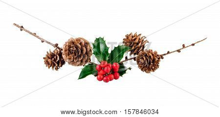 christmas organic composition with holly berries and larch cones on white