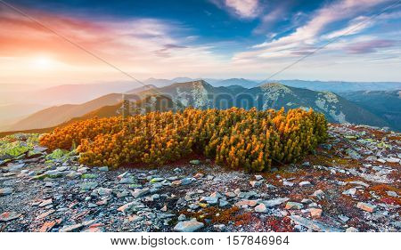 Colorful Autumn Sunrise In The Carpathian Mountains.