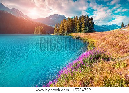 Colorful Summer Morning On The Champferersee Lake