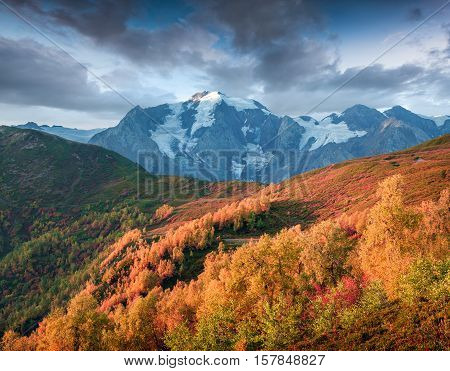 Colorful Autumn Morning In The Caucasus Mountains