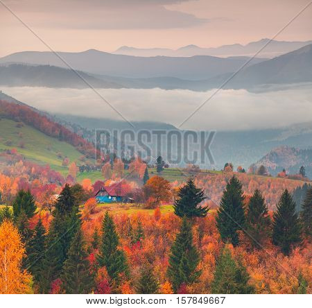 Autumn In Carpathian Village Kvasy.
