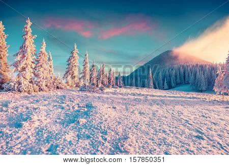 Mt. Homyak In The Morning Mist.
