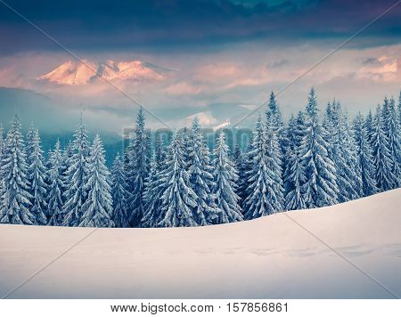 Panorama Of The Winter Sunrise In The Mountains