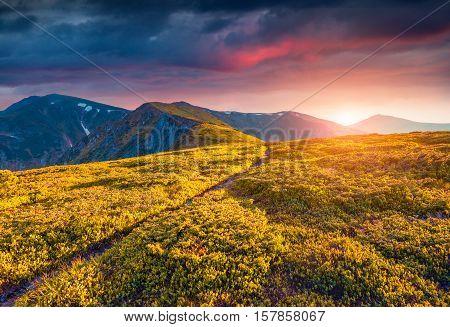 Colorful Summer Sunrise In The Carpathian Mountains