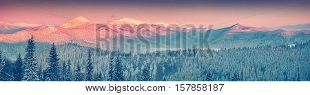 Colorful Winter Panorama In The Carpathian Mountains