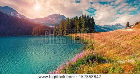 Sunny Summer Panorama Of The Champferersee Lake.